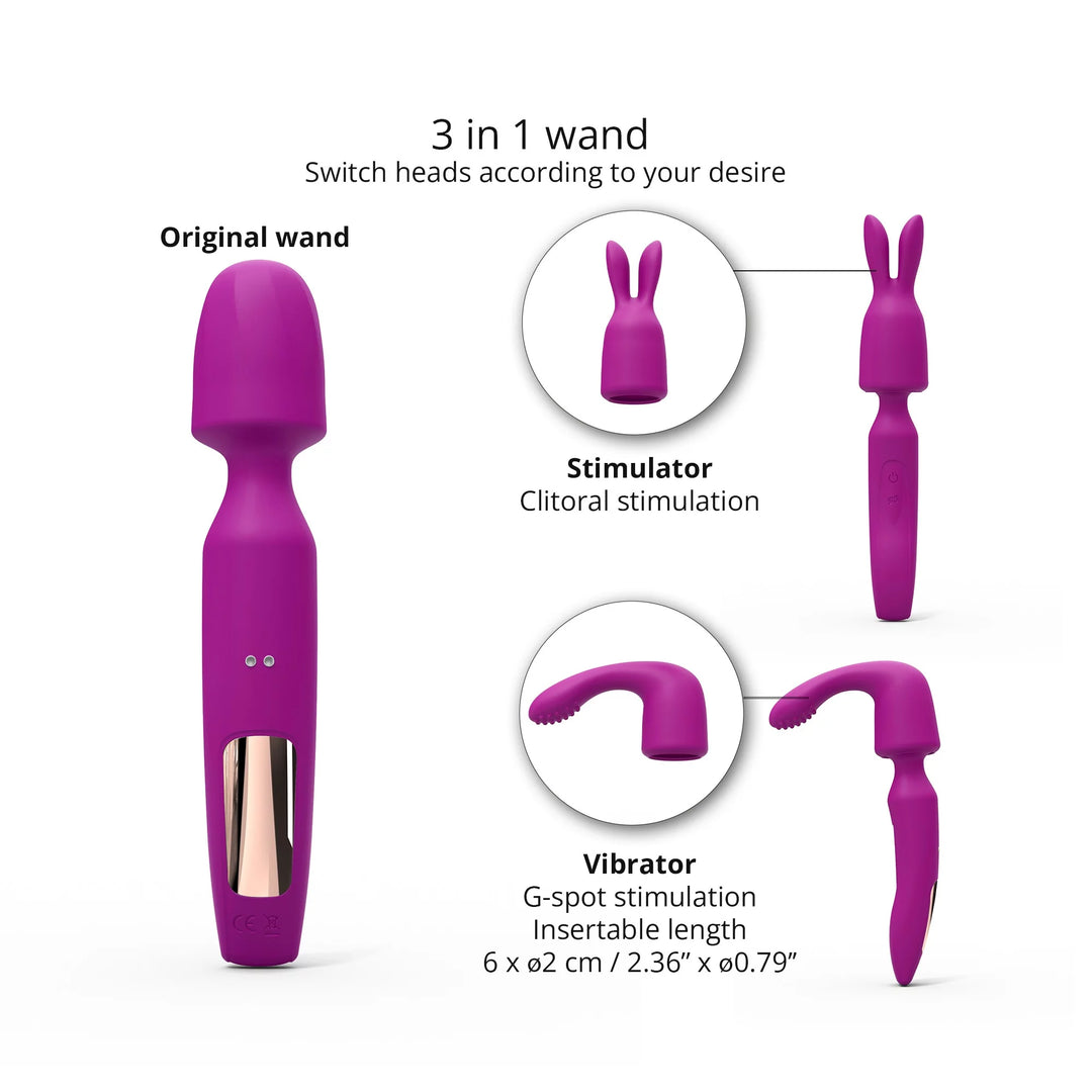 Plaisir clitoridien et point G R-evolution Violet
