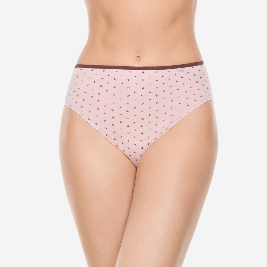 Lot de 2 slips taille haute coton bordeaux et rosé poudré - 257
