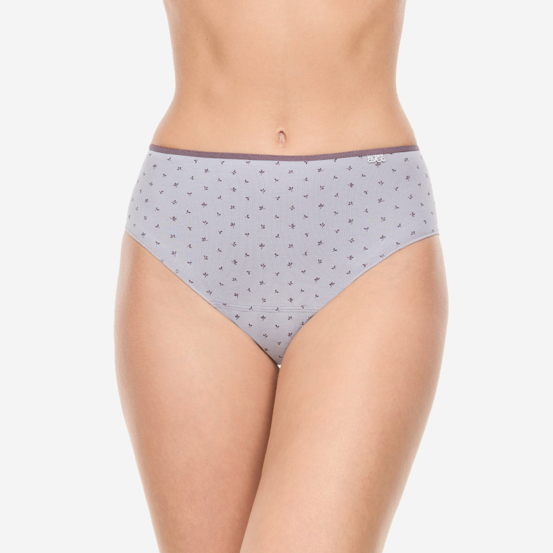 Lot de 2 slips taille haute coton prune et gris lavande - 257