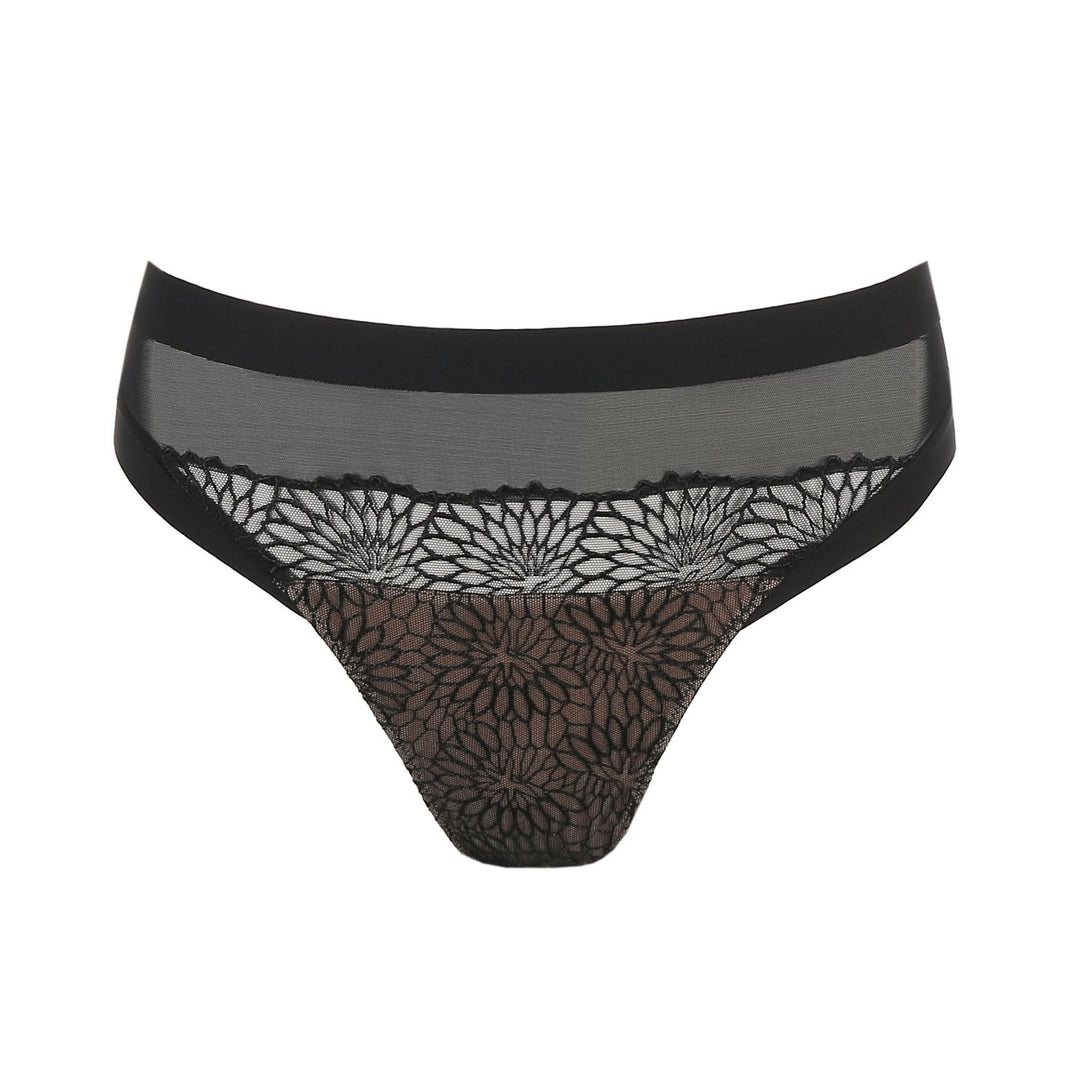 Slip Sophora