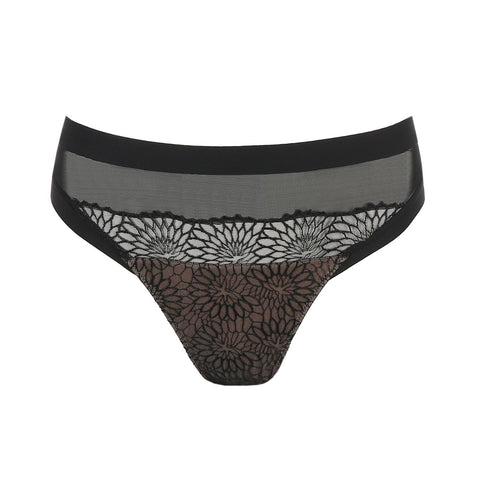 Slip Sophora