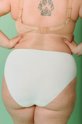 Culotte haute  microfibre